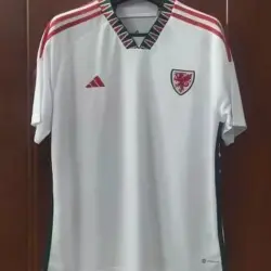 2022 FIFA World Cup Wales Away Football Shirt
