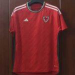 2022 FIFA World Cup Wales Home Football Shirt