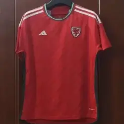 2022 FIFA World Cup Wales Home Football Shirt