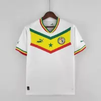 2022 FIFA World Cup Senegal National Team Home Shirt 2022 FIFA World Cup Senegal National Team Home Shirt