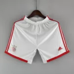 2022-2023 Ajax Football Shirt Home Shorts 1:1 Thai Quality