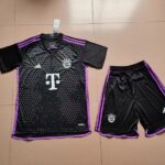 23-24 Bayern away