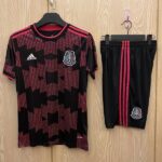2020 Mexico Home
