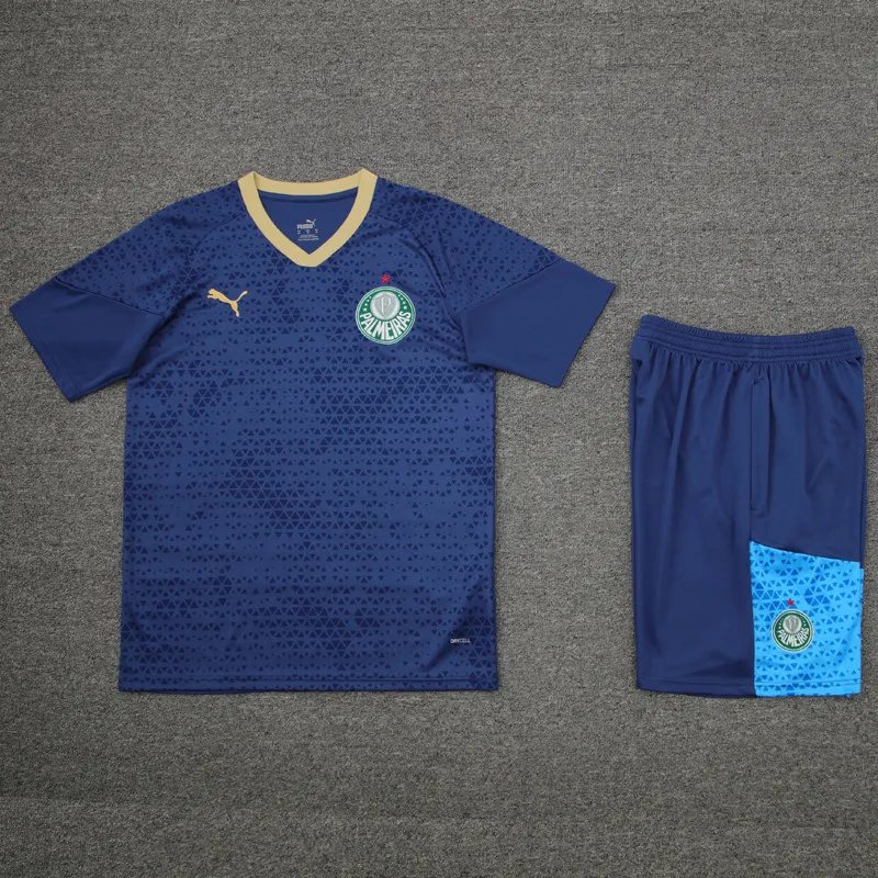 Palmeiras vest training suit 🔥 Palmeiras vest training suit 🔥