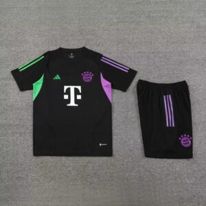 BAYERN MUNICH vest training suit