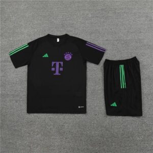 BAYERN MUNICH vest training suit