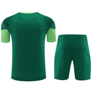 Palmeiras vest training suit