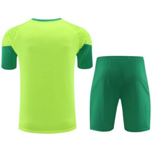Palmeiras vest training suit