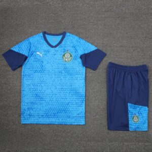 Palmeiras vest training suit