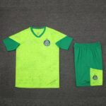 Palmeiras vest training suit 🔥