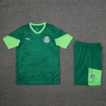 Palmeiras vest training suit 🔥