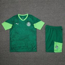 Palmeiras vest training suit 🔥