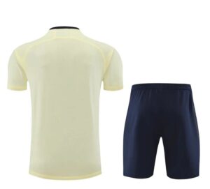 NIKE vest training suit