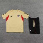 Sao paulo vest training suit 🔥