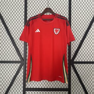 2024 Wales Home