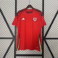 2024 Wales Home