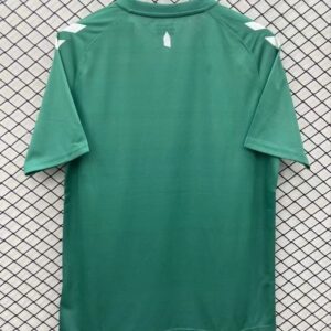 2425 Everton Special Edition Soccer Jersey 1