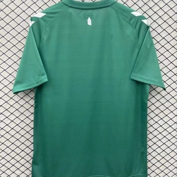 2425 Everton Special Edition Soccer Jersey 1