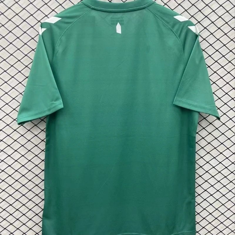 2425 Everton Special Edition Soccer Jersey 1