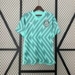 24-25 Palmeiras Goalkeeper Soccer Jersey
