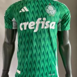 24-25 Player Version Palmeiras Special Soccer Jersey
