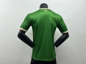 2425 Player Celtic Special Edition Soccer Jersey 1