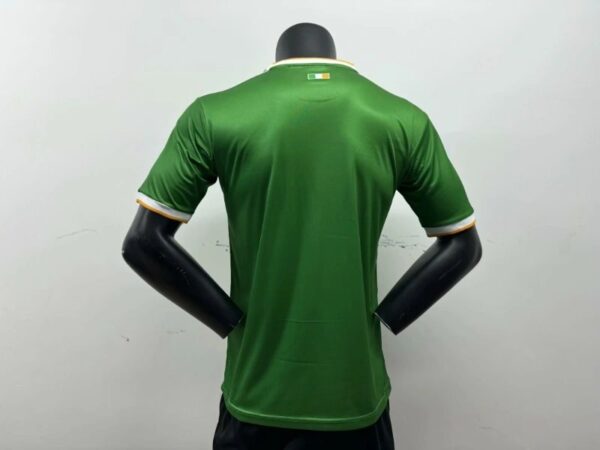 2425 Player Celtic Special Edition Soccer Jersey 1