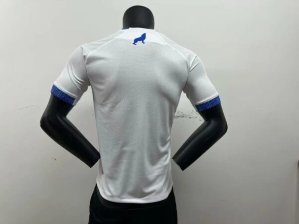 2425 Player Paysandu Soccer Jersey Away 2