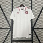 2024 DENMARK AWAY JERSEY