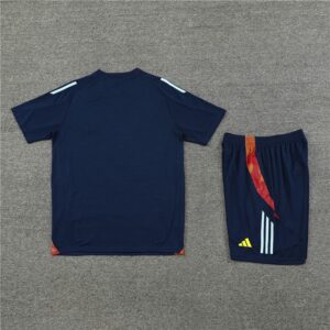 24 25 Spain blue training set