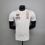 F1 Red Bull Special Edition
