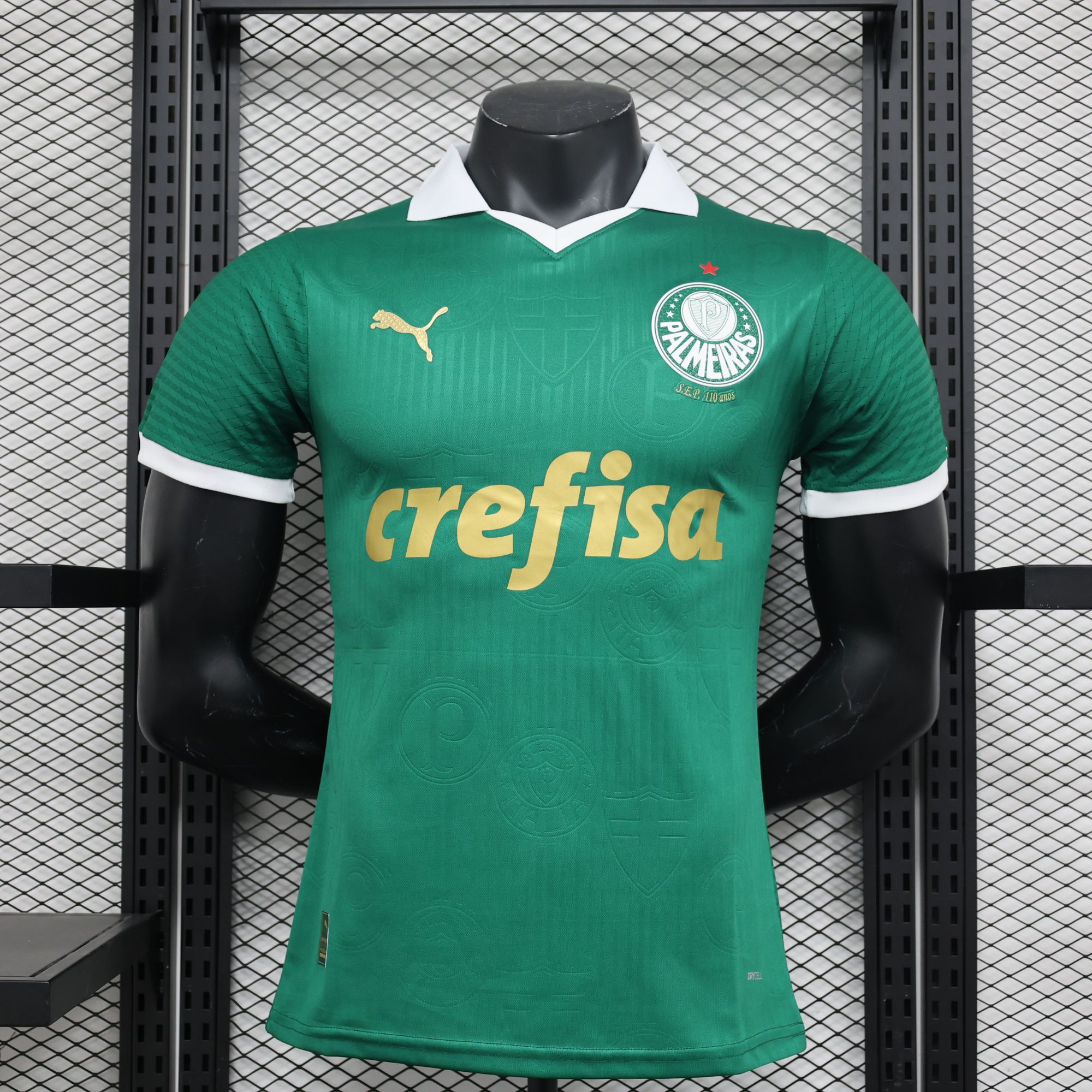 24-25 Player Version Palmeiras Home