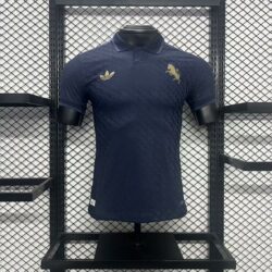 Juventus 2024-25 Third Away Jersey