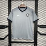 Remo 2024-25 Grey Goalkeeper Jersey