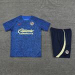 24-25 CA blue training set