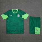 24-25 Palmeiras dark green training set