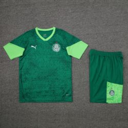24-25 Palmeiras dark green training set