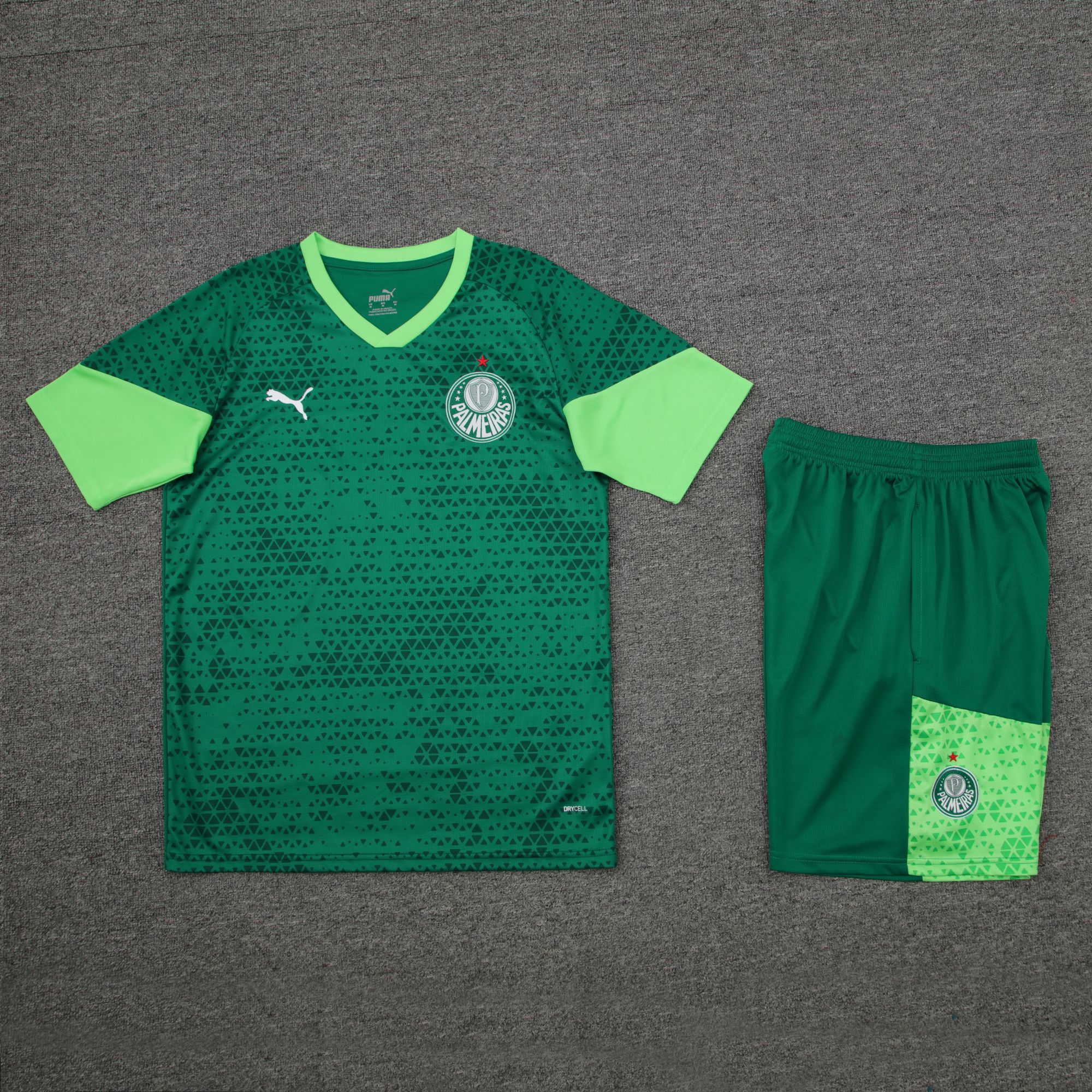 24-25 Palmeiras dark green training set 24-25 Palmeiras dark green training set
