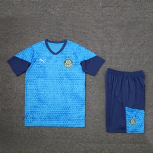 24-25 Palmeiras light blue training set