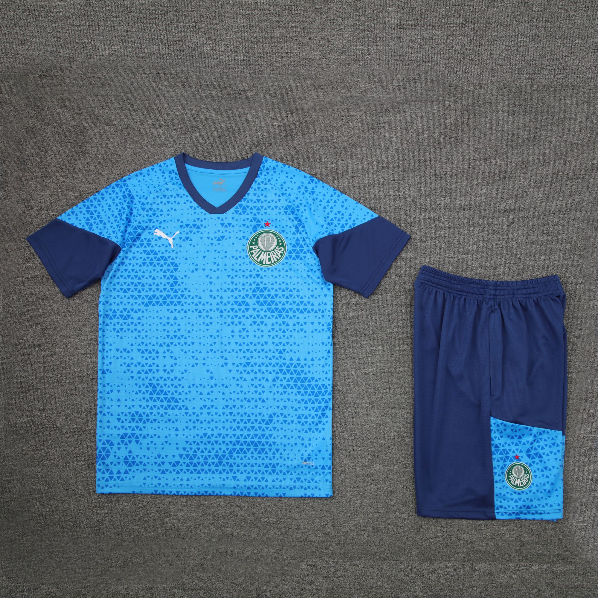 24-25 Palmeiras light blue training set 24-25 Palmeiras light blue training set
