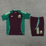 24-25 Mexico wine green training set