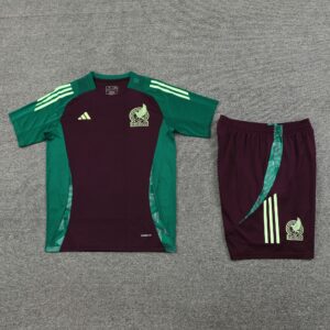 24-25 Mexico wine green training set