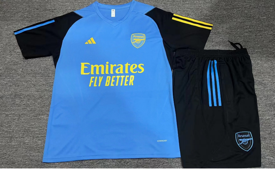 23-24 Arsenal blue training set