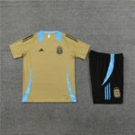 24-25 Argentina gold training set