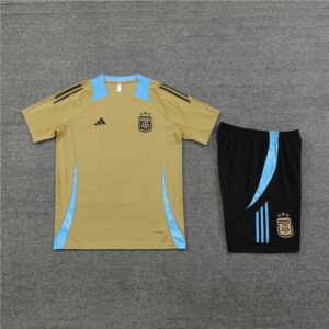 24-25 Argentina gold training set