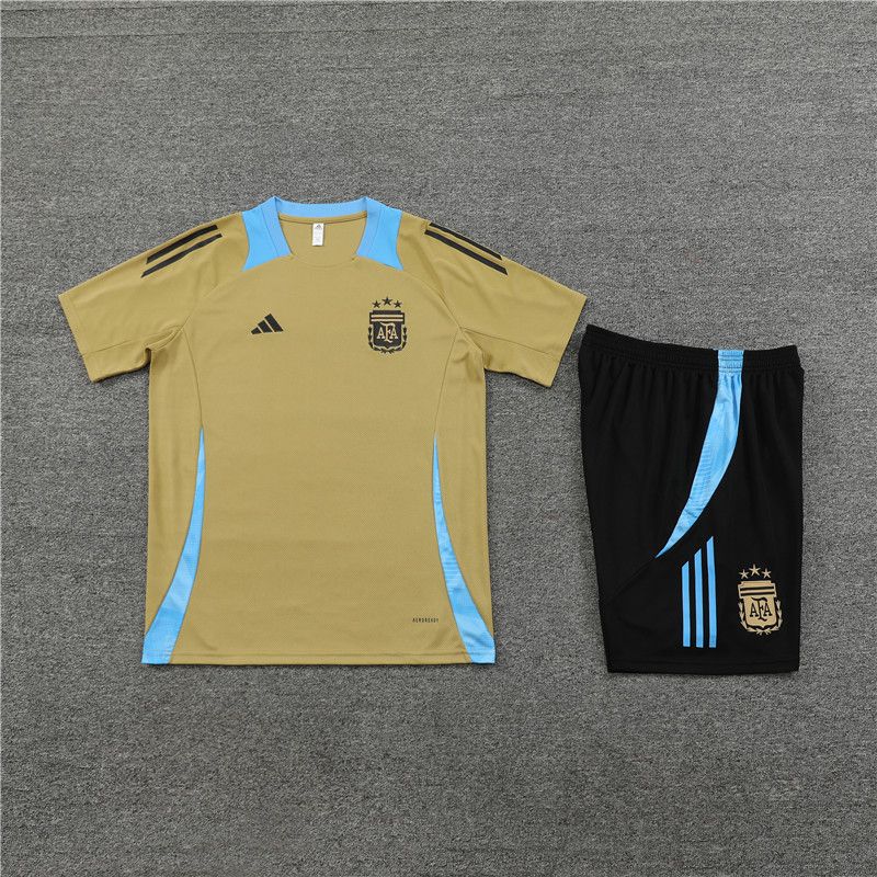 24-25 Argentina gold training set