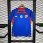 Slovakia 2024-25 Euro Home Jersey