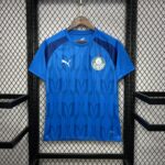 Palmeiras 2024-25 Blue Pre-Match Training Jersey