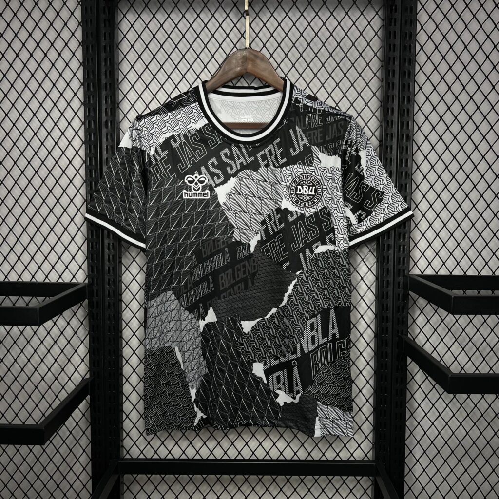 Denmark 2024-25 Euro Pre-match training Jersey