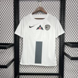 Slovenia 2024-25 Euro Away Jersey